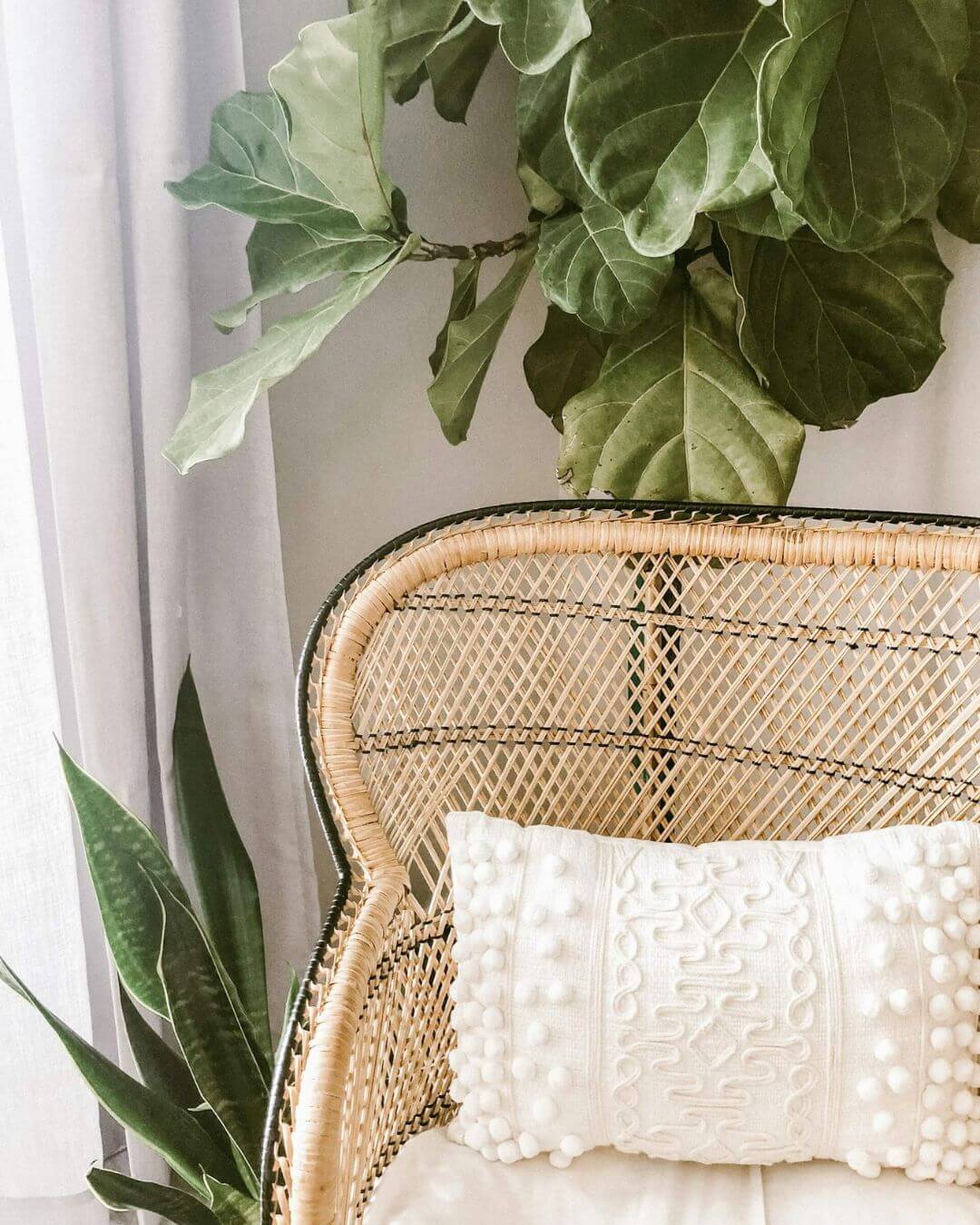 The top of a chair with a pillow on it and plants behind the chair