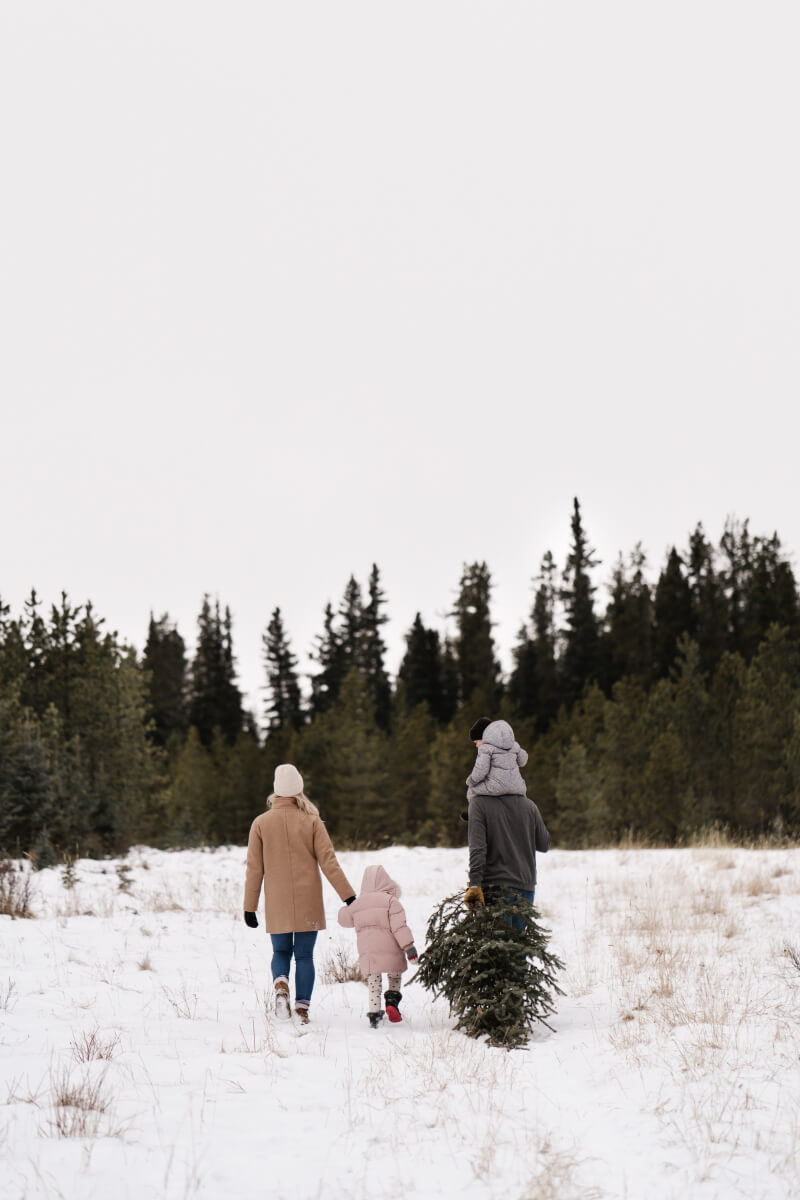 A family of three walks away through a snow-covered field carrying a freshly cut Christmas tree. The group includes two adults and a small child in winter coats and beanies, with a dense evergreen forest creating a natural backdrop under an overcast sky. (Photo Credit: Haute Stock)